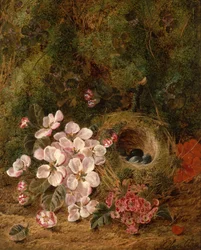 Vogelnest